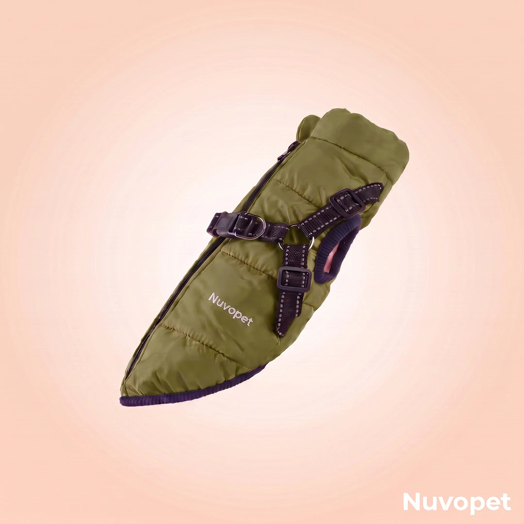 Manteau chien Nuvopet couleur Vert olive