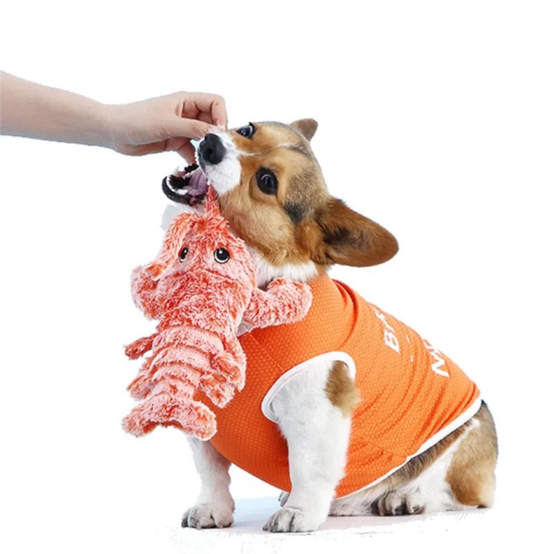 SnapCatch Lobster Dog Toy Detail