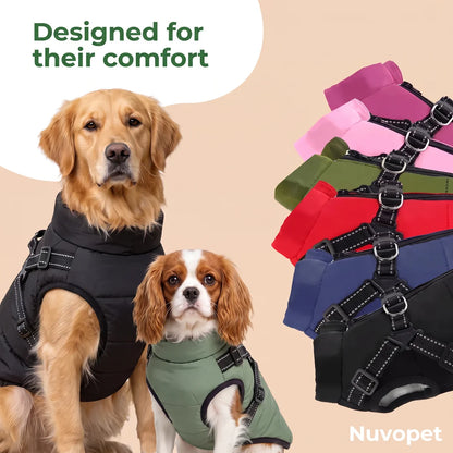Winter Dog Coat 3-in-1 Nuvopet - Designed for their comfort