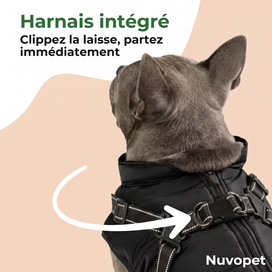 Harnais intégré avec anneau en D — manteau chien Nuvopet