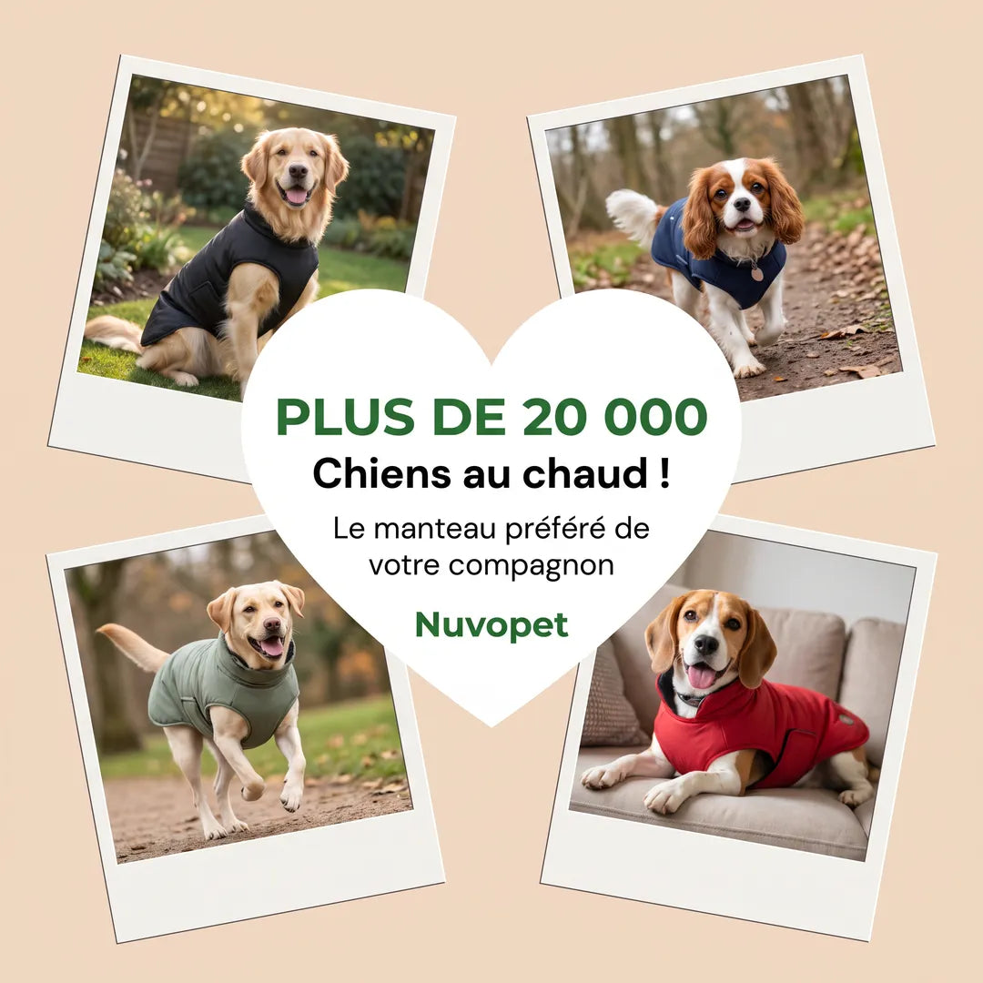 Plus de 20 000 chiens au chaud avec le manteau Nuvopet — photos clients