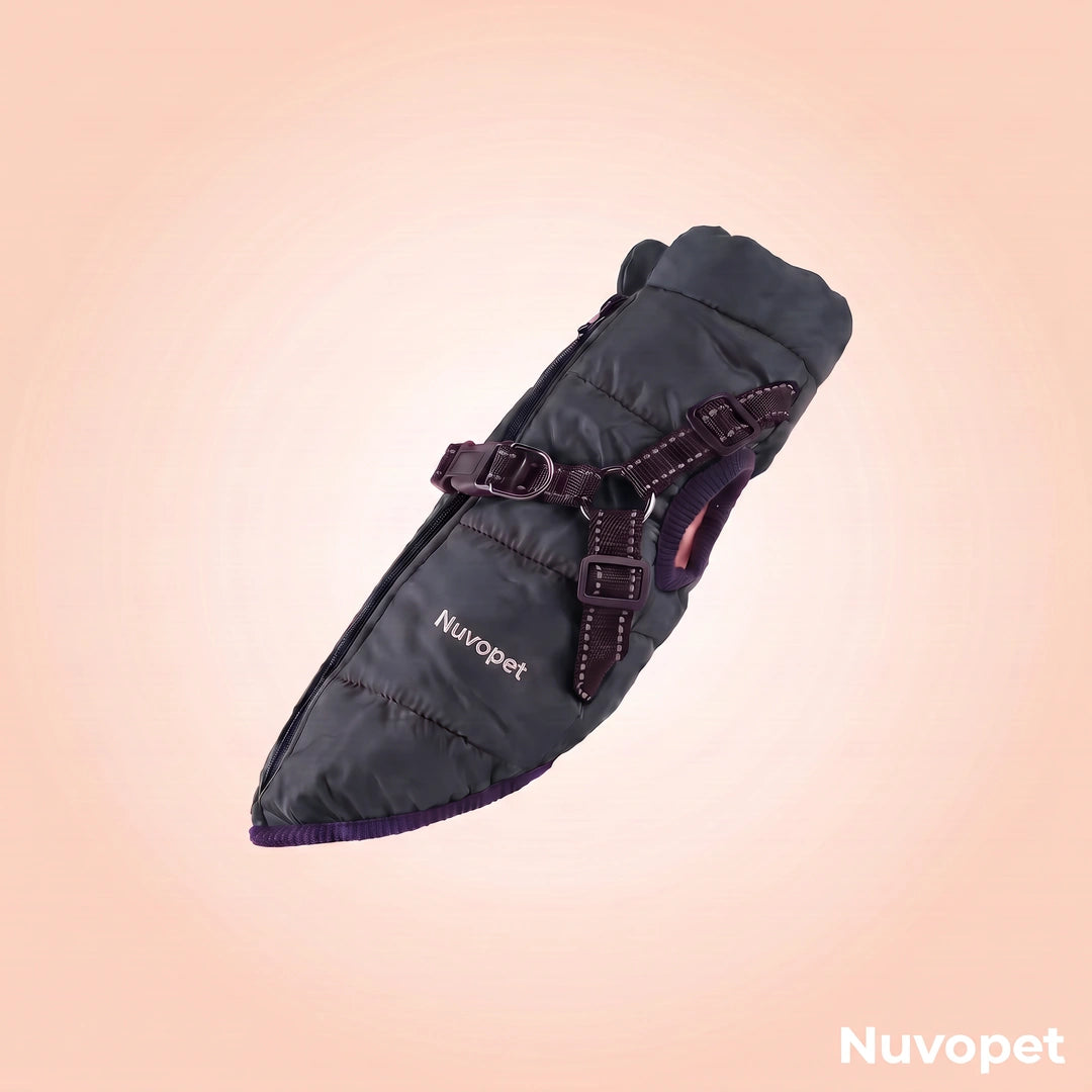 Manteau chien Nuvopet couleur Noir