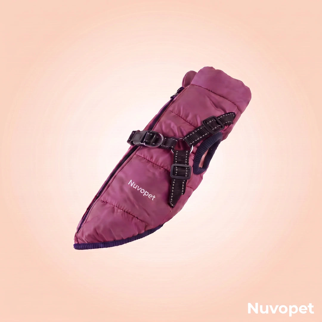 Manteau chien Nuvopet couleur Prune