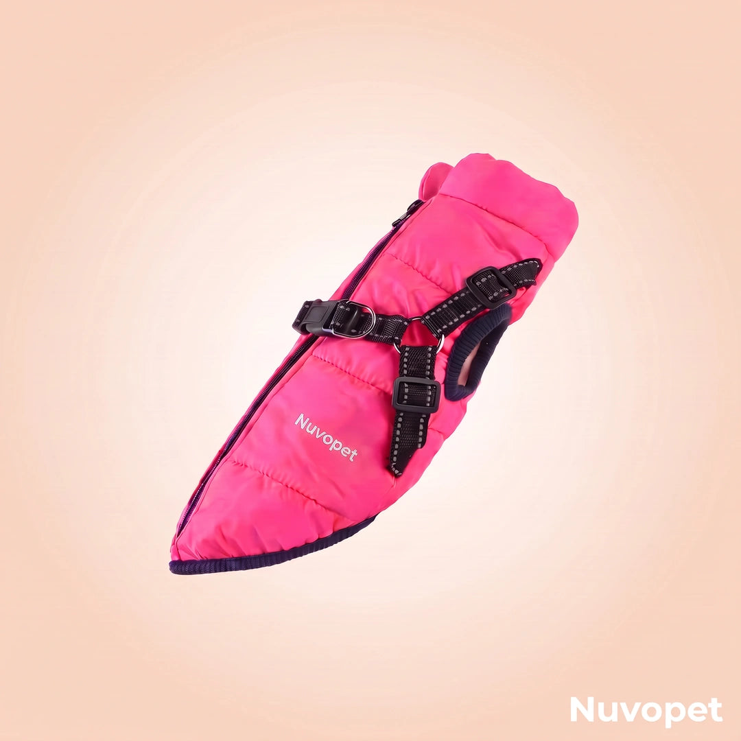 Manteau chien Nuvopet couleur Rose fuchsia