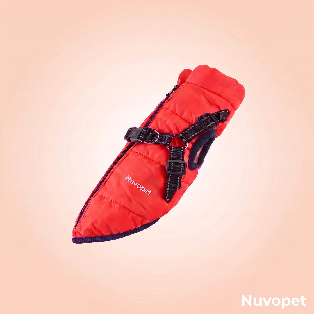 Manteau chien Nuvopet couleur Rouge