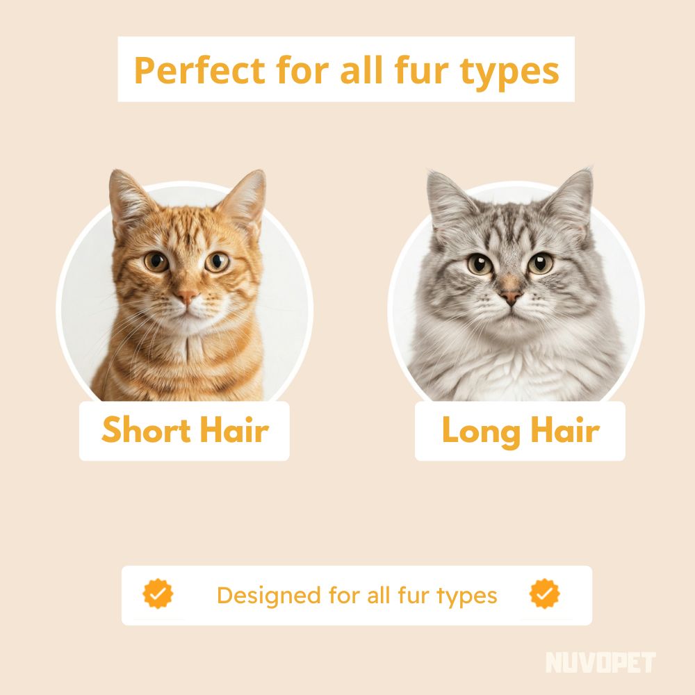 FureverBond™ Brush