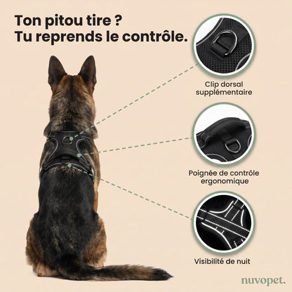 GentleWalk™ Harness