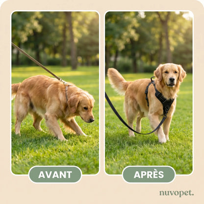 GentleWalk™ Harness