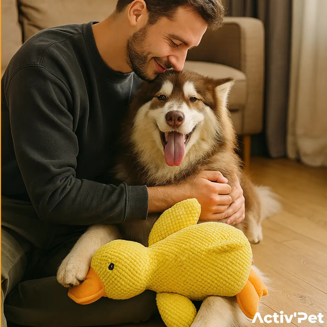 CalmDuck Lifestyle