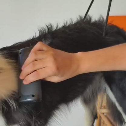 Purecoat™ Brush