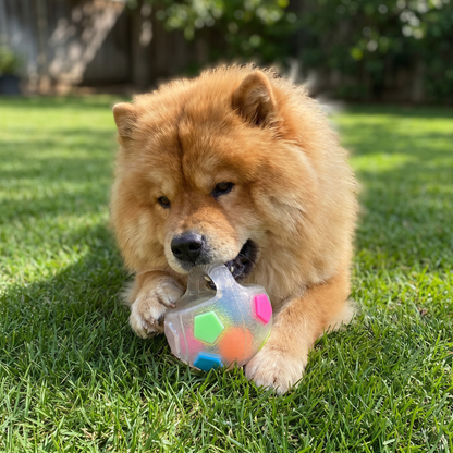 ChompBall Stress Relief Dog Ball